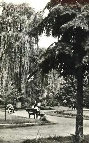 Postcard Romania Bacau parc