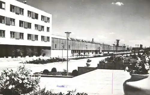 Postcard Romania Bacau combinat de lemn