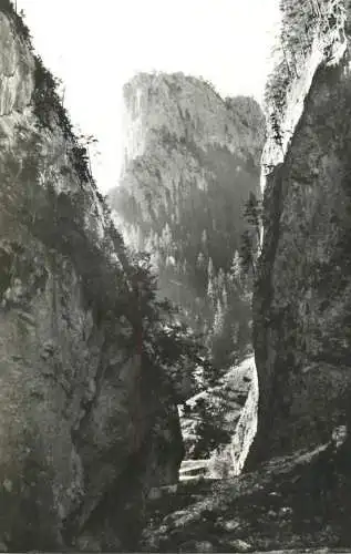 Postcard Romania Cheile Bicazului
