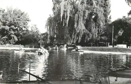 Postcard Romania Roman din parc