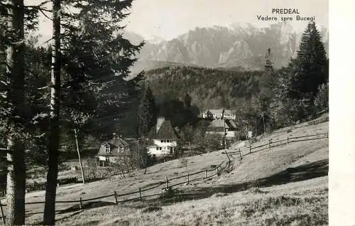 Postcard Romania Predeal spre Bucegi