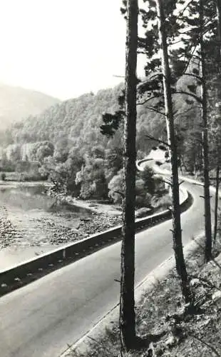 Postcard Romania Valea Bistritei la Tarcau