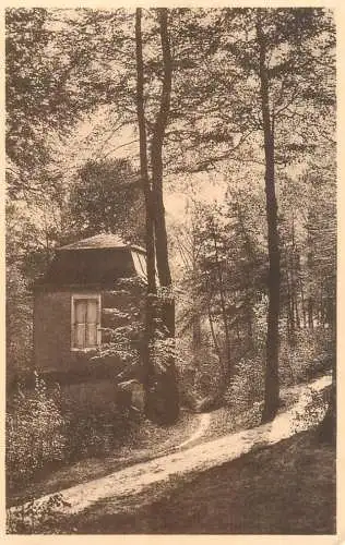 Postcard Belgium Tongeren Beukenberg