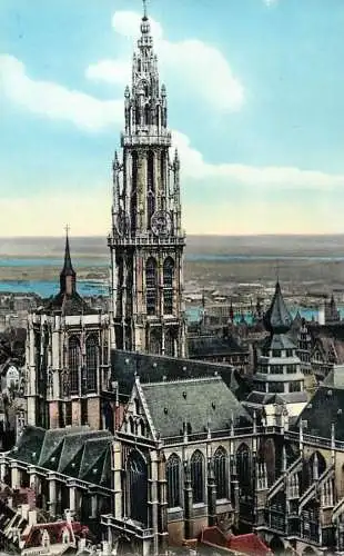 Postcard Belgium Anvers cathedrale