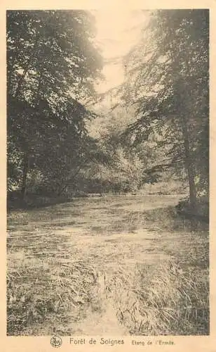 Postcard Belgium Foret de Soignes etang de l'Ermite