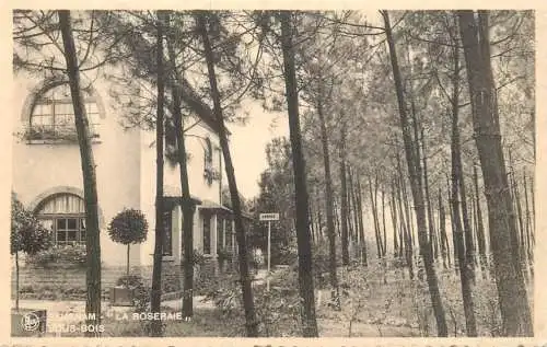 Postcard Belgium Rymenam la Roseraie sous bois