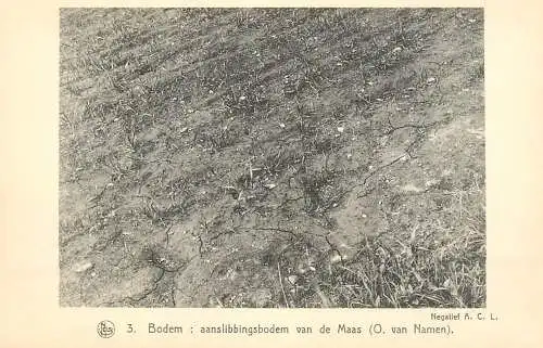 Postcard Belgium Bodem aanslibbingsbodem ven de Maas