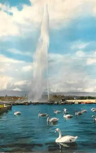 Switzerland Geneve Le Jet d'Eau et cygnes sur le lac