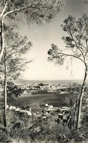 Spain Mallorca Palma Puerto desde bosque Bellver