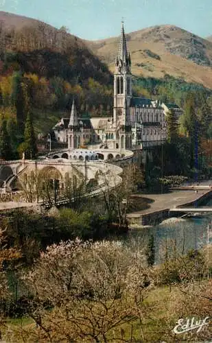 France Lourdes La Basilique, le Gave &  le nouveau Pont