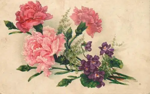 Postcard flowers carnationbouquet