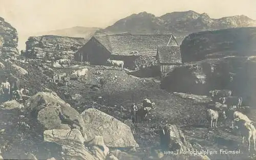 Switzerland Thorlochalp am Frumsel cow herd mountain farmers types and scenes