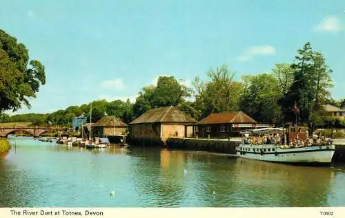 England River Dart at Totnes