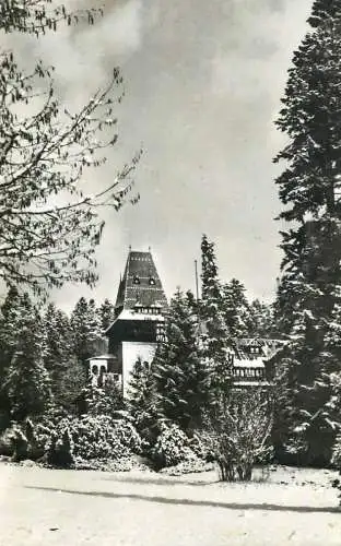 Romania Casa de creatie "Pelisor" vedere din Sinaia