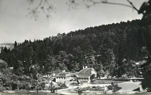 Romania Bazna aspect general