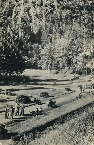 Romania Slanic Moldova vedere din parc