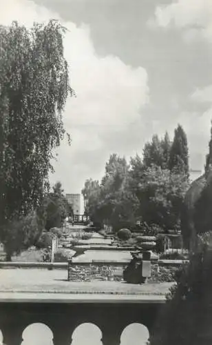 Romania Satu Mare vedere din parc