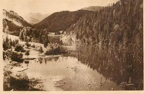 Romania Lacul Rosu (Ghilcos) peisaj pitoresc