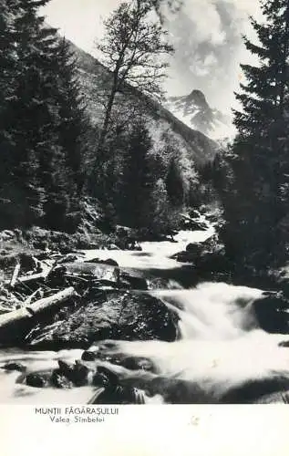 Romania Muntii Fagarasului Valea Sambetei peisaj pitoresc