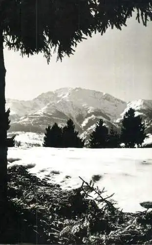 Romania Muntii Rodnei vedere spre Pietrosul