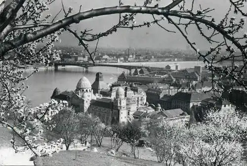 Hungary Budapest cityscape