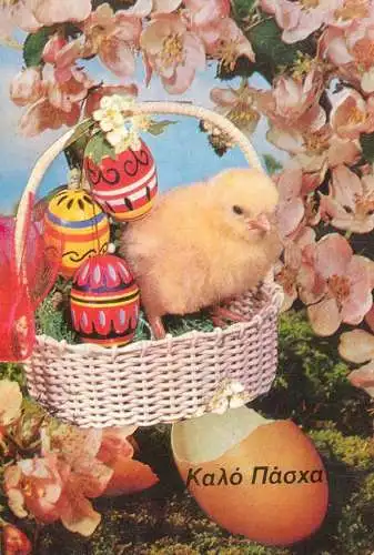 Postard holiday Russia Easter egg chicken