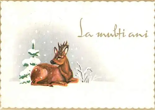 Postcard holiday la multi ani new year