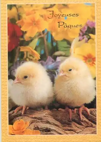 Postcard holiday joyeuses paques chickens