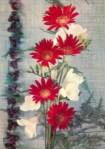 Postcard holiday flower bouquet