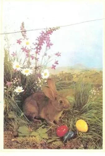 Postcard holiday easter rabbit eggs