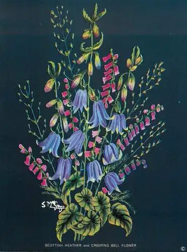 Postcard flower scottish heather and creeping bell flower