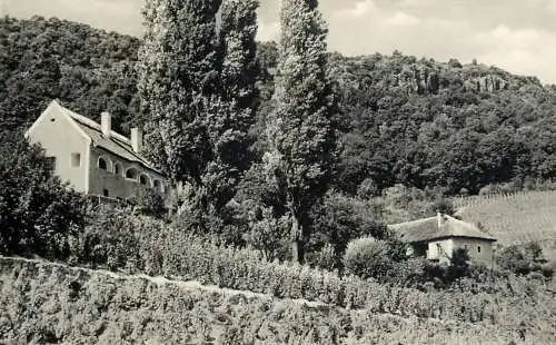 Hungary Badacsony Roza house