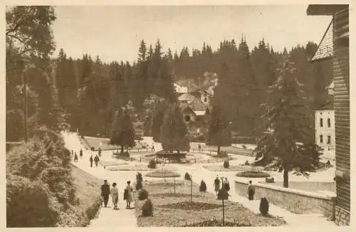 Romania Borsec vedere din parc