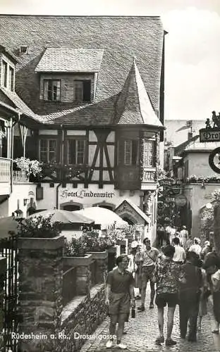 Germany Rudesheim am Rhein Drosselgasse