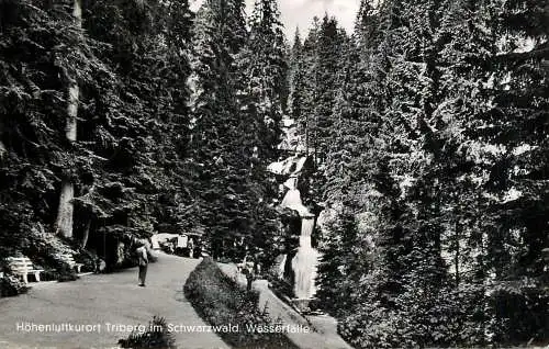 Germany Hohenluftkurort Triberg im Schwarzwald Wasserfalle