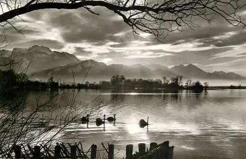 Germany Chiemsee Kampenwand Abendstimmung