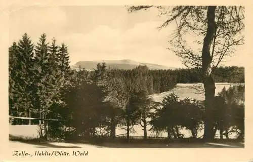 Germany Zella-Mehlis Thur. Wald