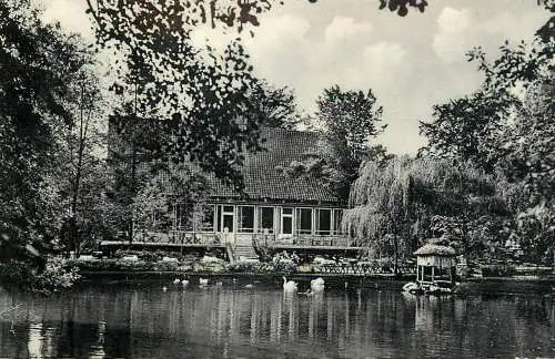 Germany Vechta Kaffeehaus Welpe Muhlenteich