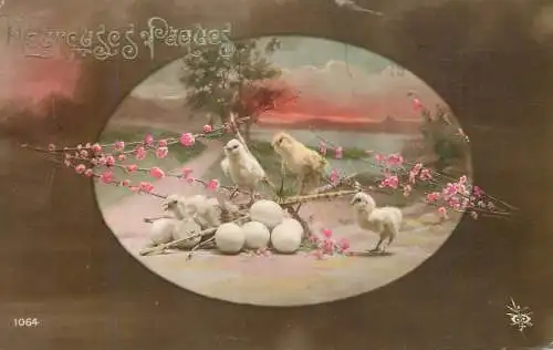 Easter greetings Hereuses Paques chicken poultry, eggs and blossom tree branch