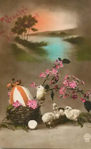 Easter greetings Vroolijk Paaschfeest chicken poultry, pencilled egg and blossom tree branch