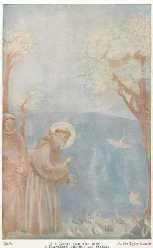 Italy Assisi Upper Church St Francis feeding the birds Giotto painting
