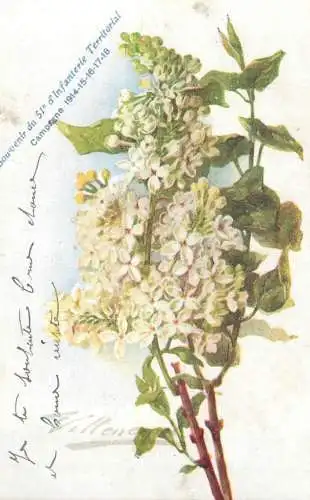Postcard fancy card flower bouquet souvenir du 51e d'infanterie territorial WW1