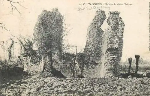 France Valognes ruines du vieux chateau