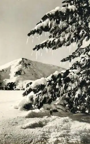 Christmas greetings mountain winter scenery detail aspect