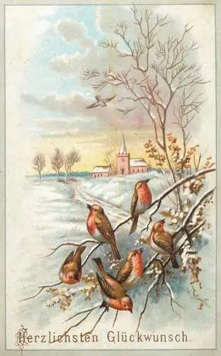 Fantaisie fleurs Herzlichsten Gluckwunsch birds and winter landscape