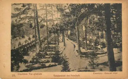 Cemetery general view