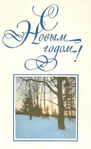 Holiday postcard Christmas winter scene forest landscape