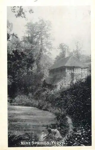 England Yeovil Nine Springs