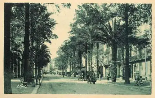 France Hyeres-les-Palmiers Avenue Gambetta