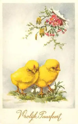 Fantaisie Pâques poussins animé Vrojlijk Paasfeest chicken